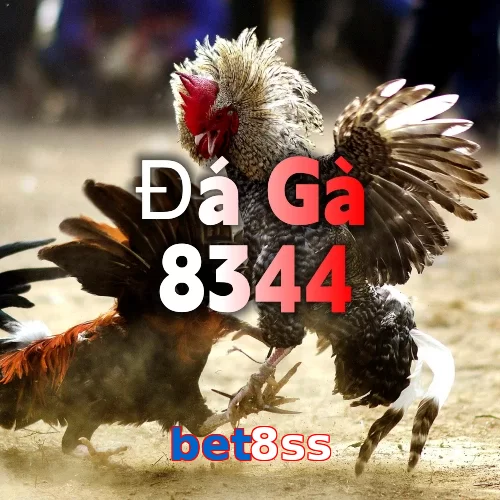 bet8ss