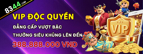 bet8ss