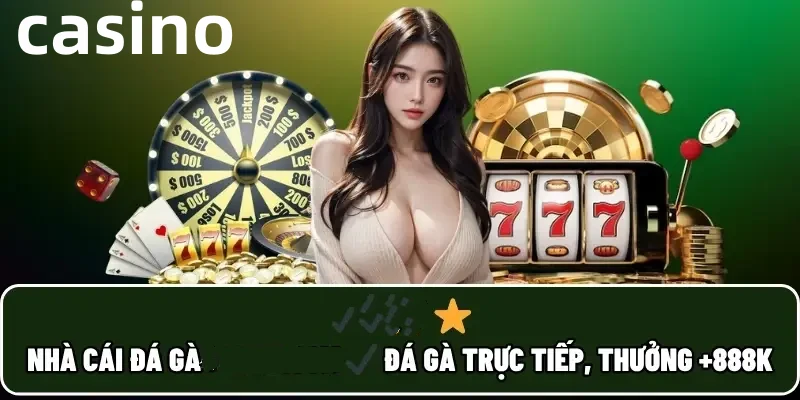 bet8ss