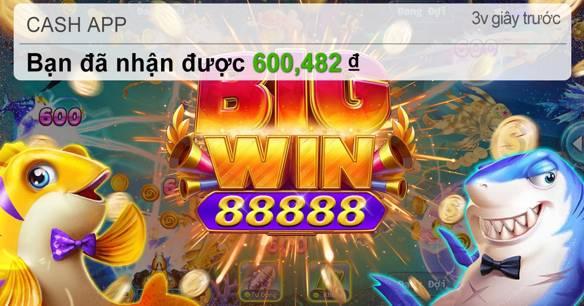 bet8ss